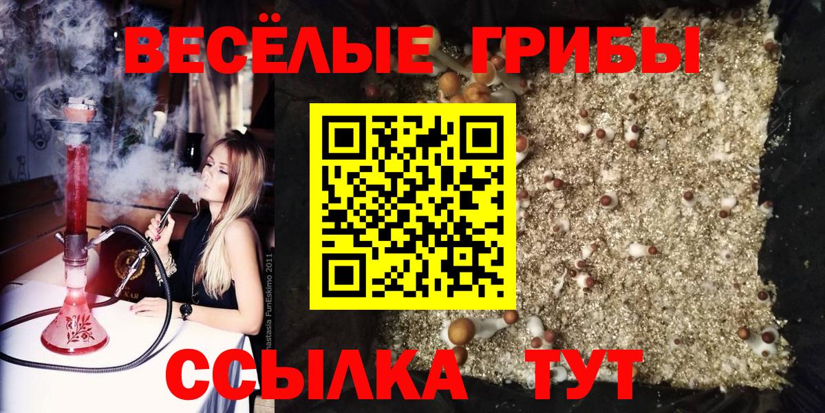 Скопин  как найти наркотики  Вход с VPN  Псилоцибиновые грибы мицелий 